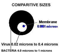 Membrane